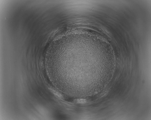 X0000060810361200511101459