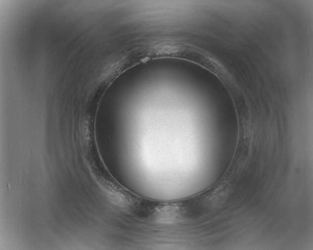 X0000060810362200511101459