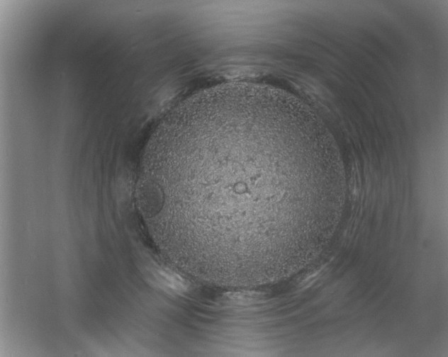 X0000060810367200511101459