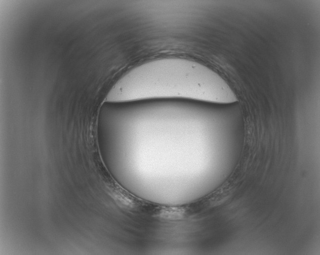 X0000060810369200511101459