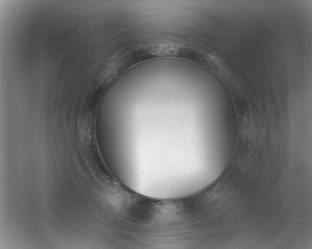 X0000060810370200511101459