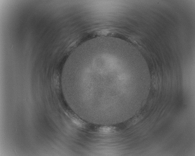 X0000060810375200511101459