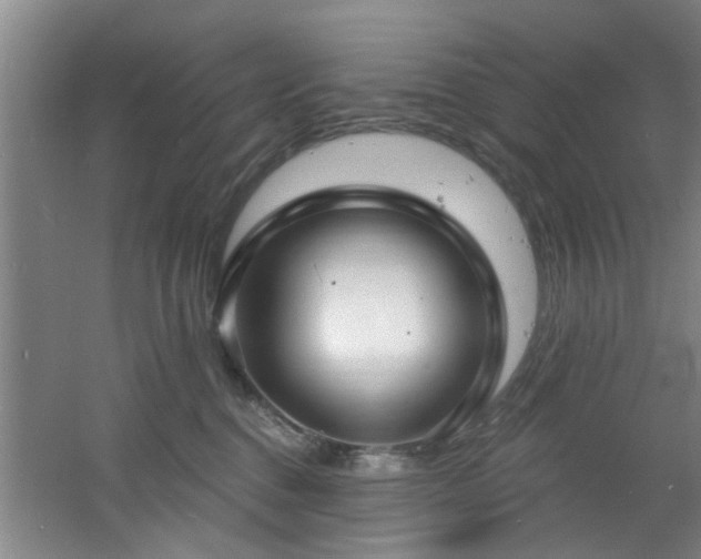 X0000060810376200511101459