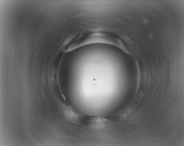 X0000060810379200511101459