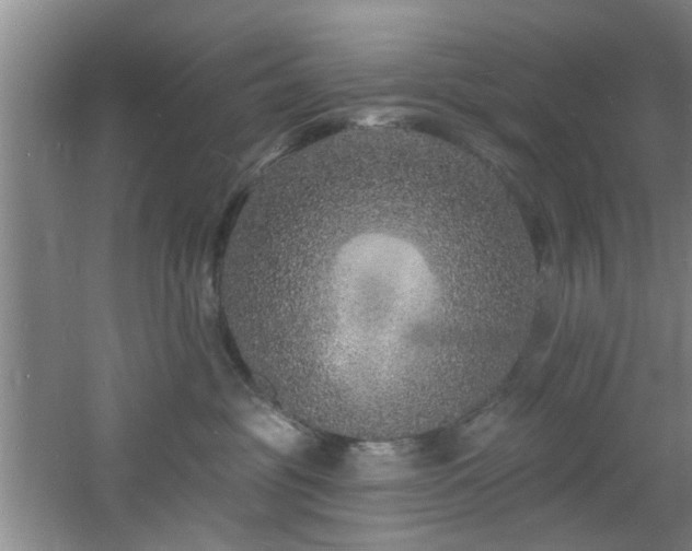 X0000060810381200511101459