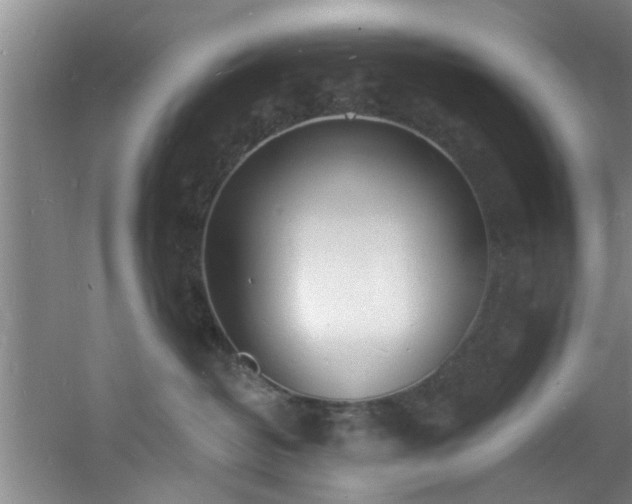 X0000060810382200511101459