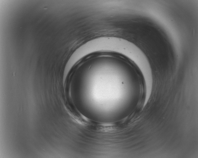 X0000060810383200511101459