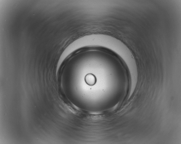 X0000060810384200511101459