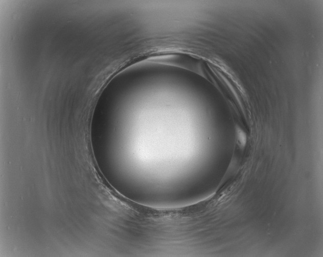 X0000060810385200511101458