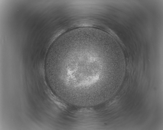 X0000060810386200511101458