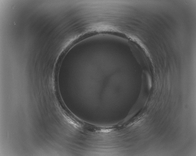 X0000060810391200511101458