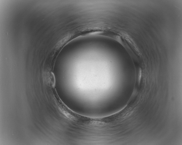 X0000060810393200511101458