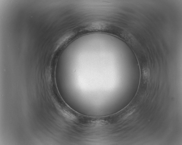 X0000060810396200511101458