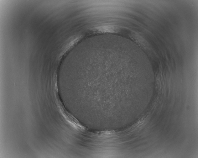 X0000060810398200511101458