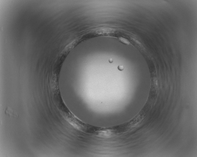 X0000060810411200511101458