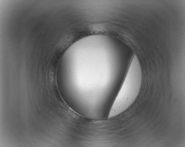 X0000060810417200511101458