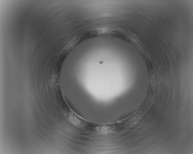 X0000060810419200511101458