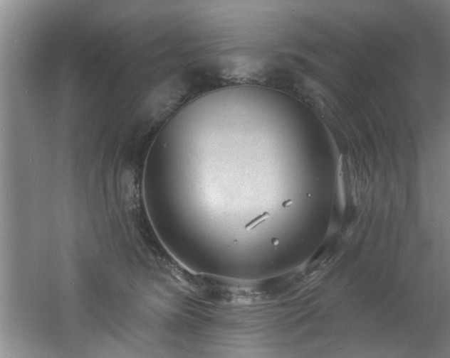 X0000060810420200511101458