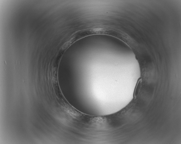 X0000060810421200511101458