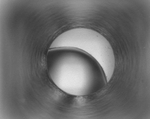 X0000060810425200511101458