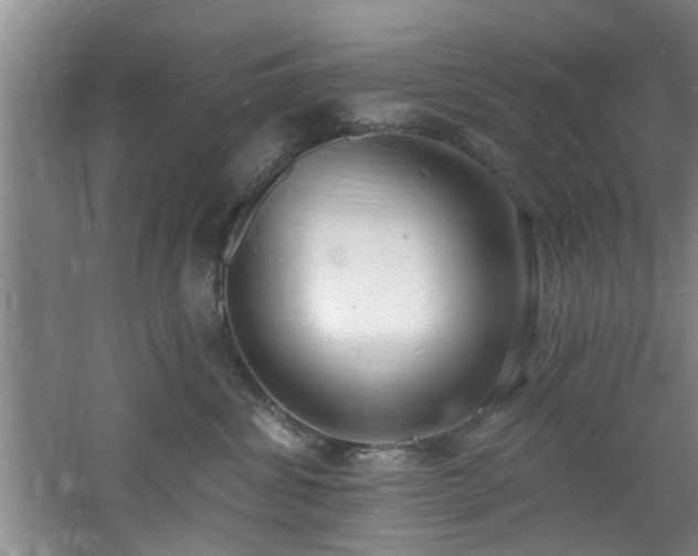 X0000060810428200511101458