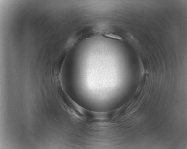 X0000060810429200511101458