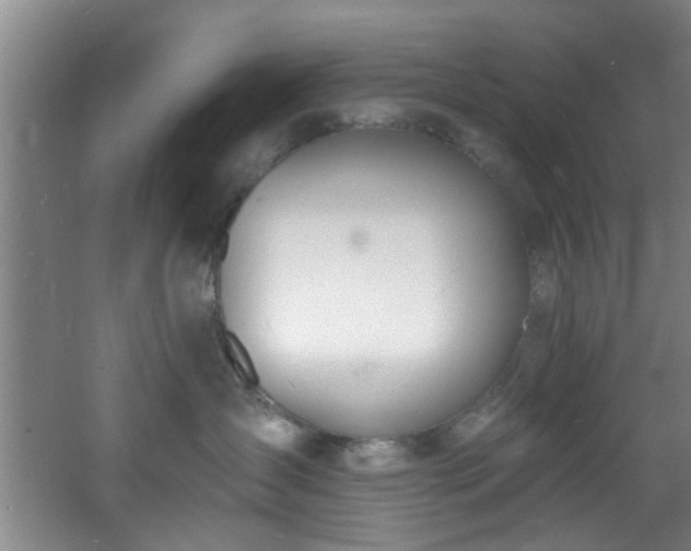 X0000060810431200511101458