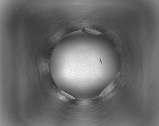 X0000060810432200511101458