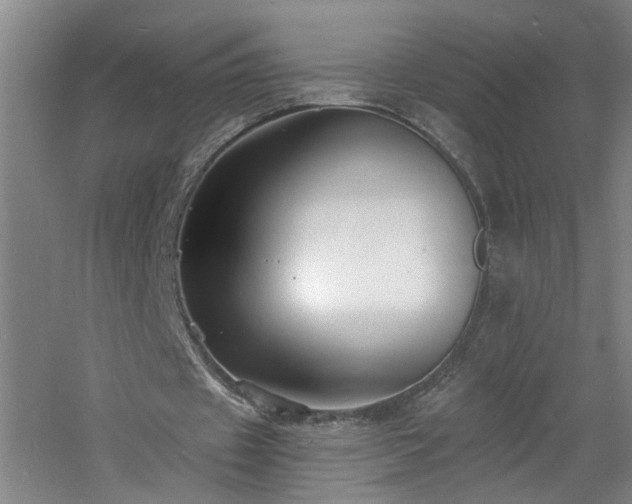 X0000060810433200511101457