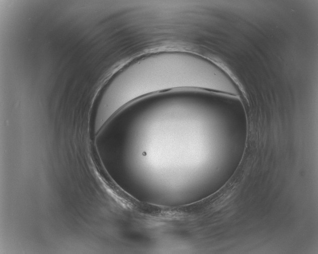 X0000060810437200511101457