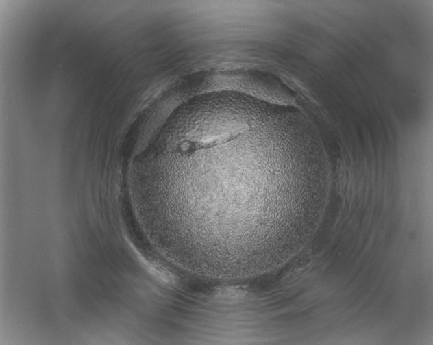 X0000060810451200511101457