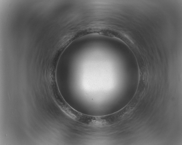 X0000060810455200511101457