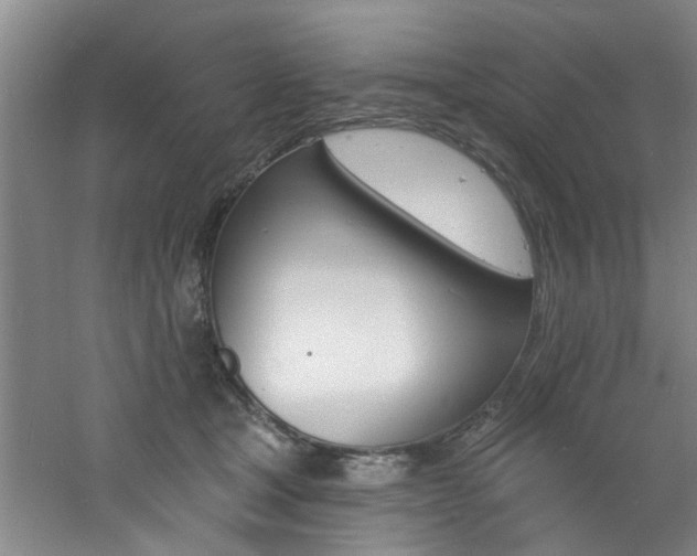 X0000060810465200511101457