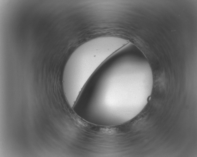 X0000060810469200511101457