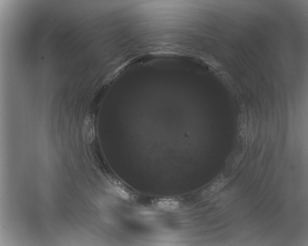 X0000060810471200511101457