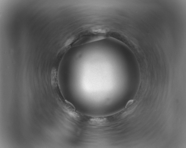 X0000060810480200511101458