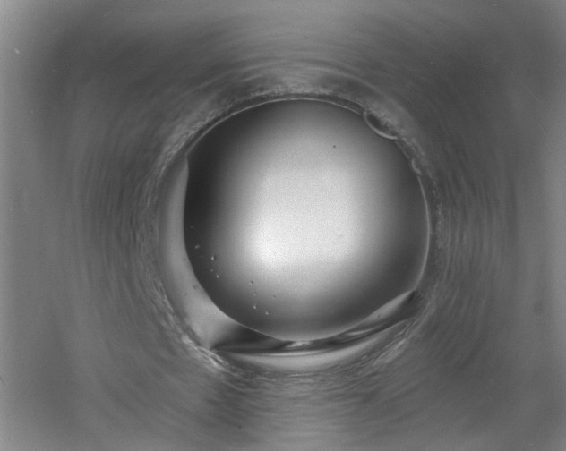 X0000060810481200511101457