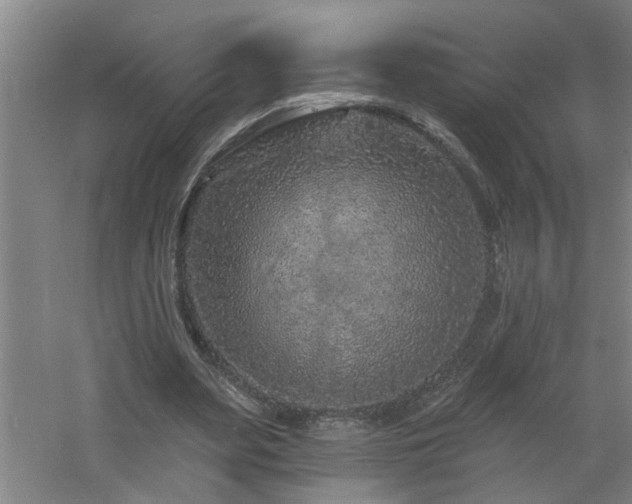 X0000060810487200511101457