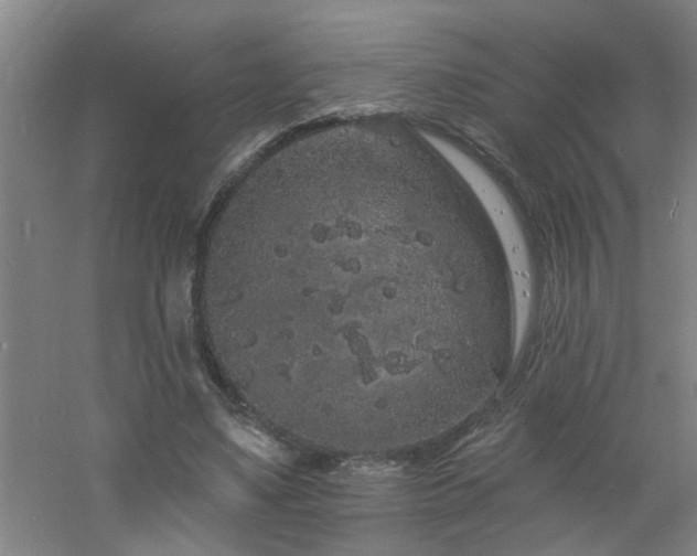 X0000060810491200511101457