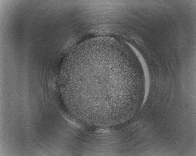 X0000060810503200511101456