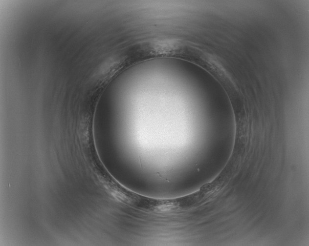 X0000060810505200511101456