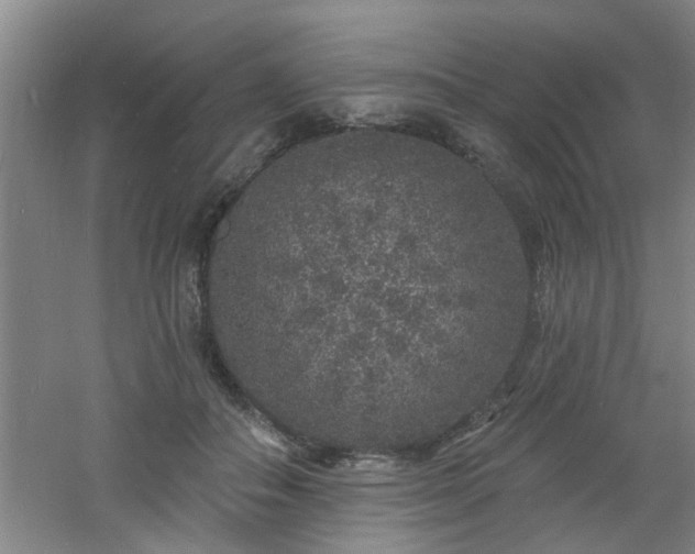 X0000060810506200511101456