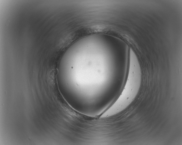 X0000060810509200511101456