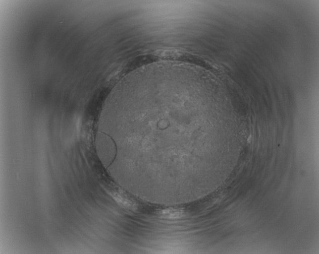 X0000060810511200511101456