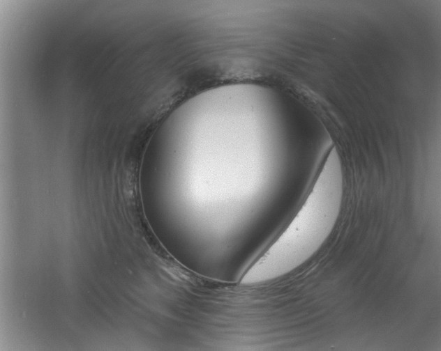 X0000060810517200511101456