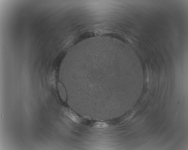 X0000060810519200511101456