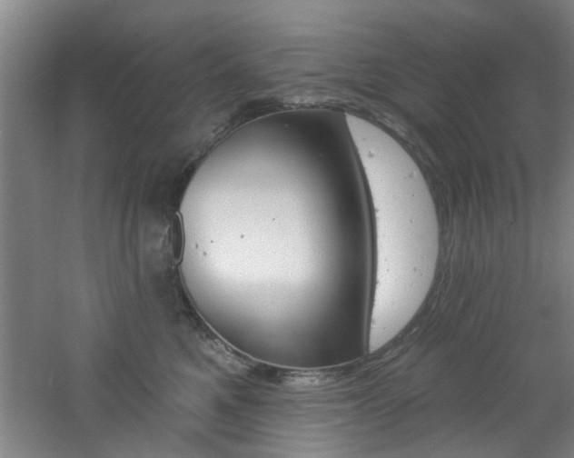 X0000060810521200511101456