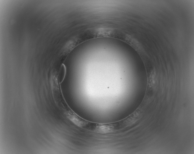 X0000060810522200511101456