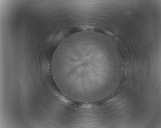 X0000060810523200511101456