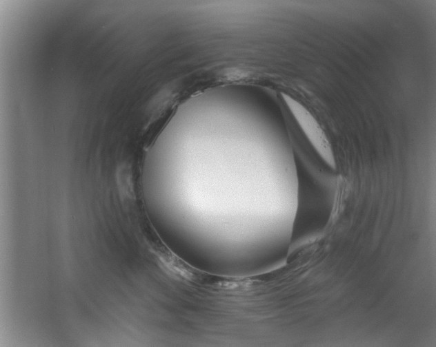 X0000060810524200511101456